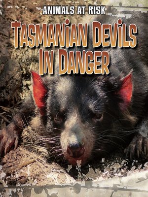 cover image of Tasmanian Devils in Danger